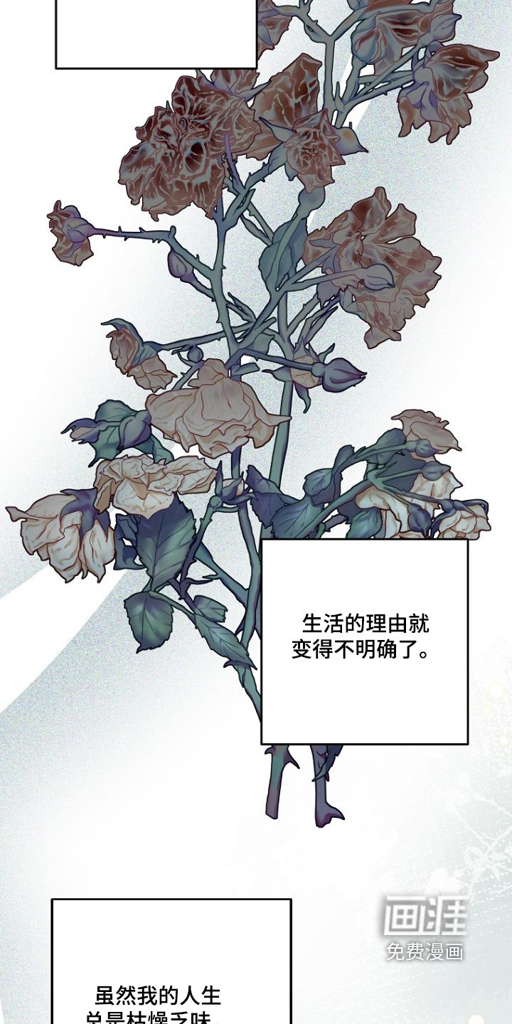 第139章：消失了