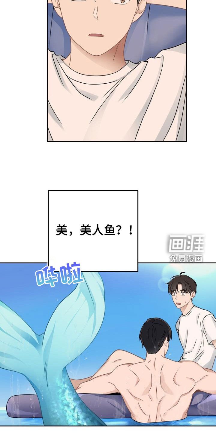 第53章：美梦