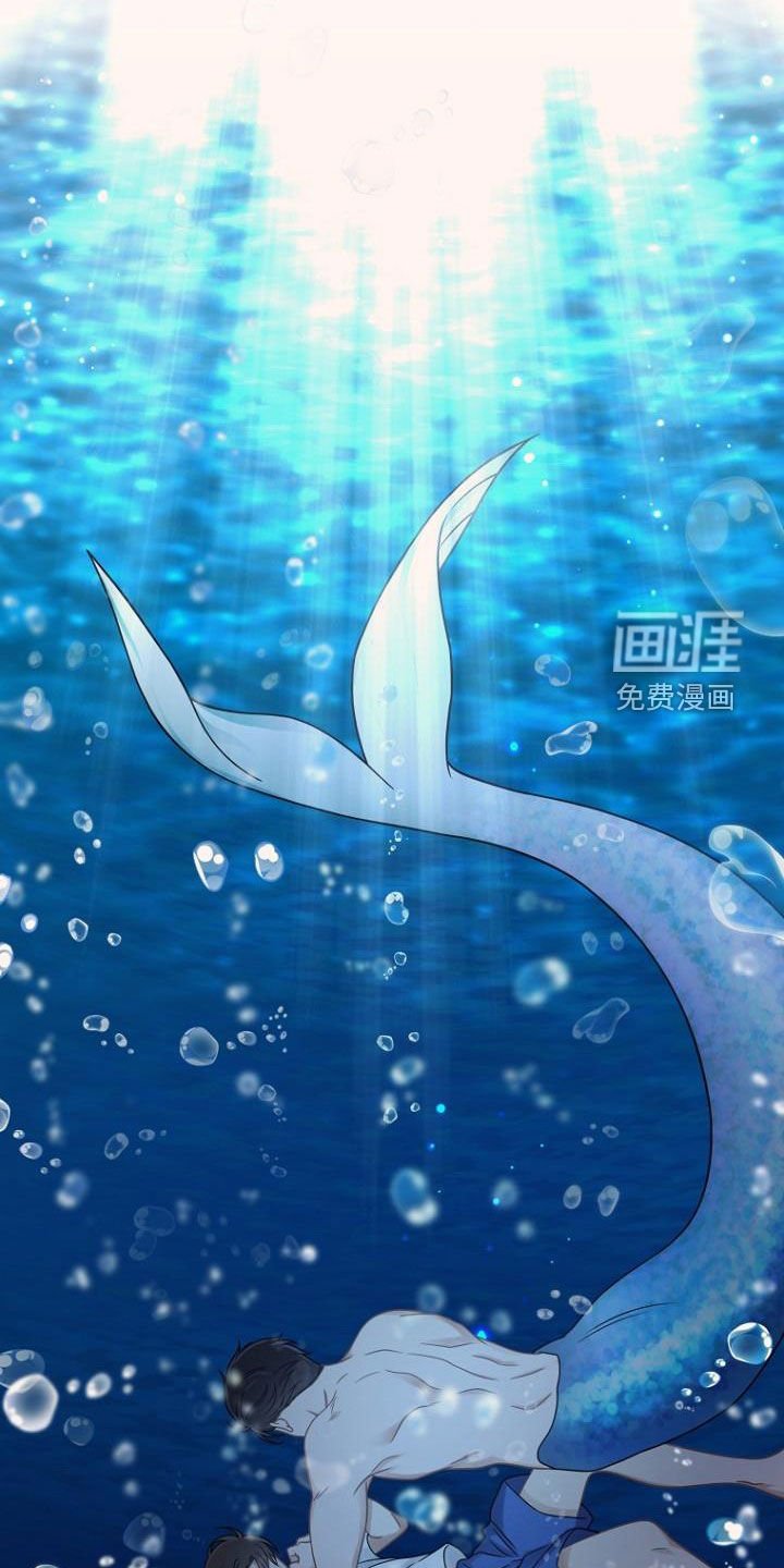 第53章：美梦