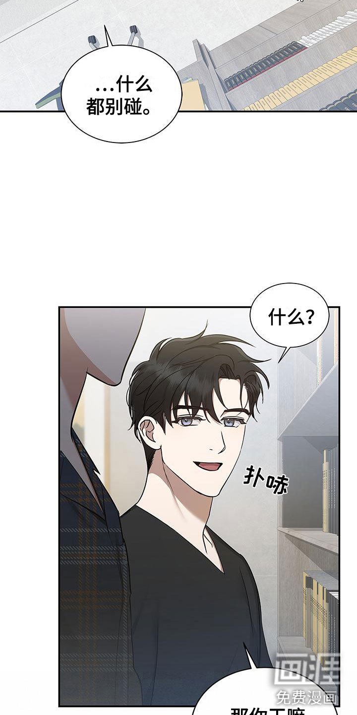 第11章：厚脸皮