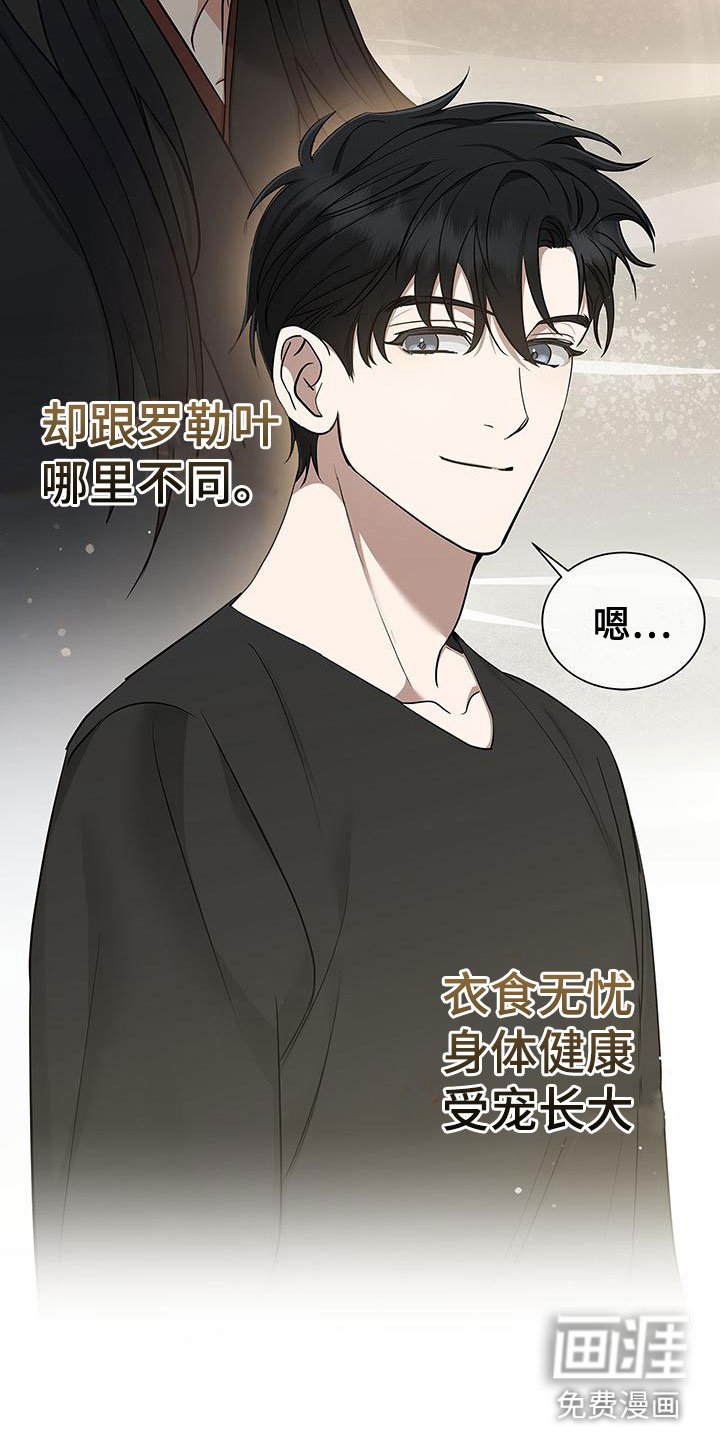 第11章：厚脸皮