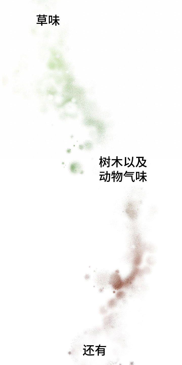 第2章：非阴非阳