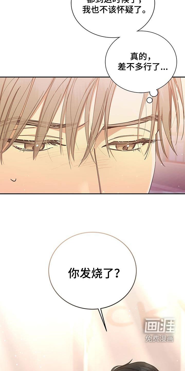 第29章：交往试试