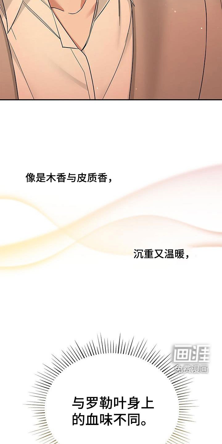 第29章：交往试试