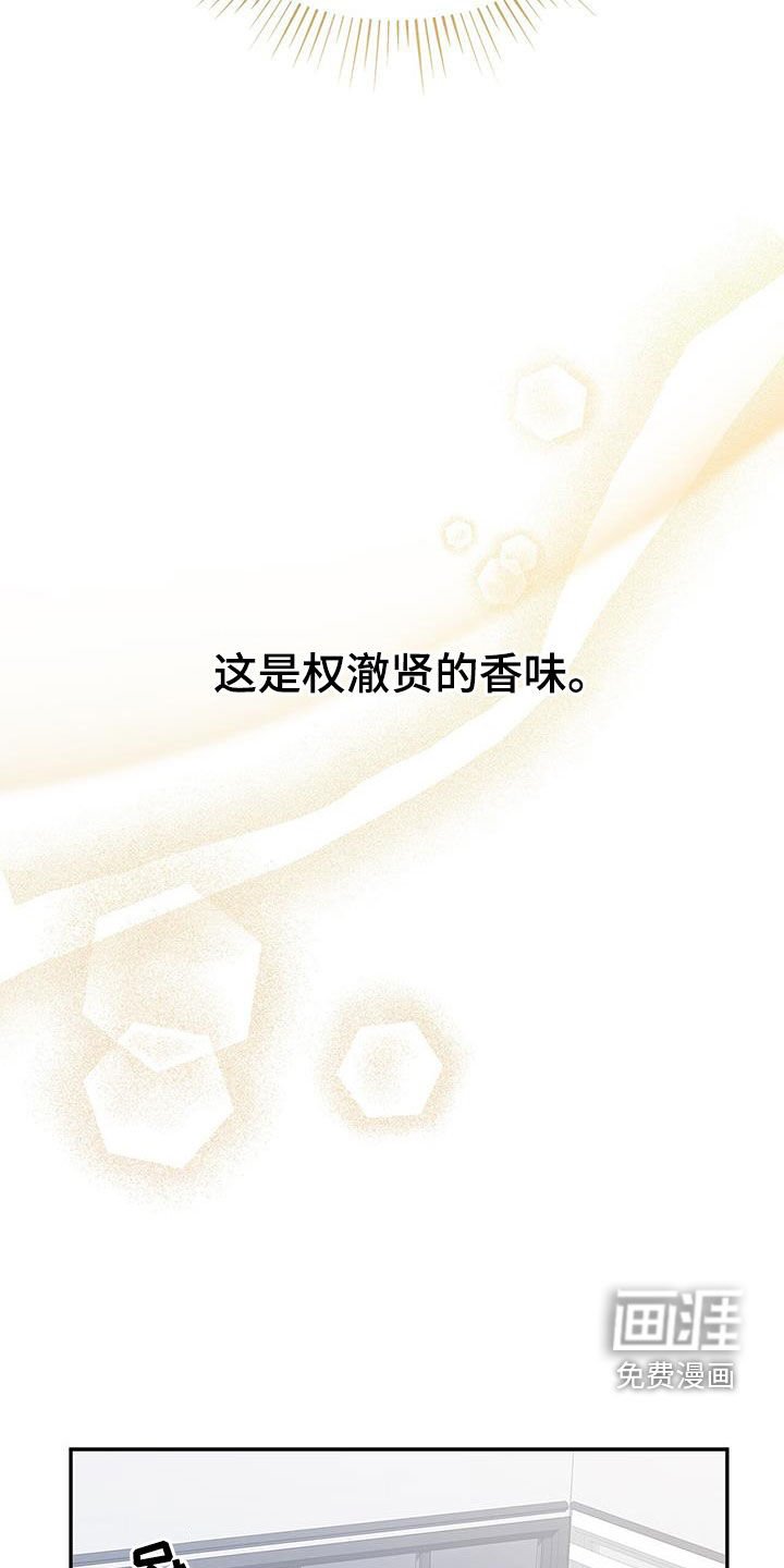 第29章：交往试试