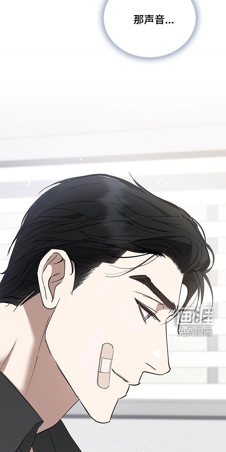 第29章：交往试试