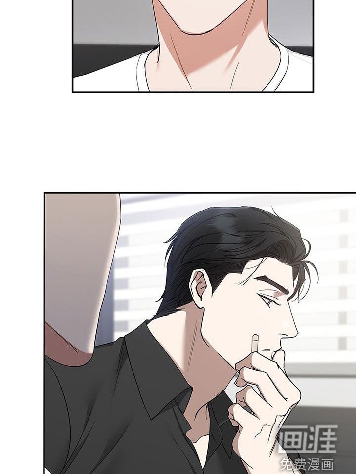 第29章：交往试试