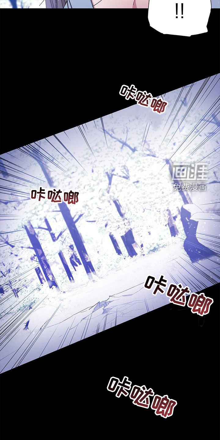 第42章：再也不要相见