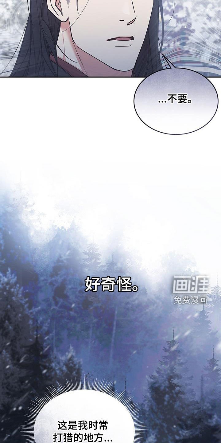 第51章：像梦一样