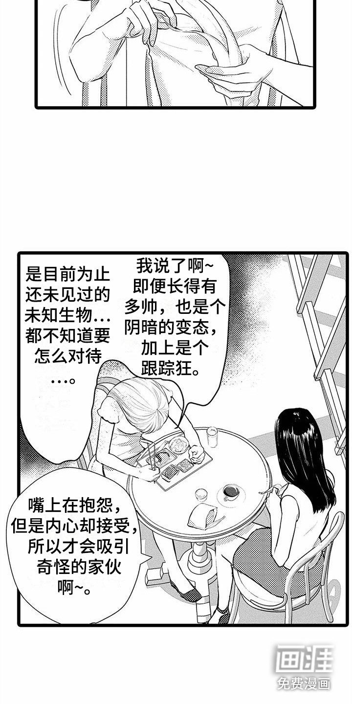 第13章：建议