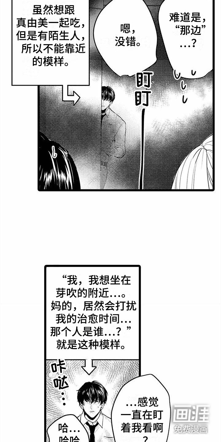 第13章：建议