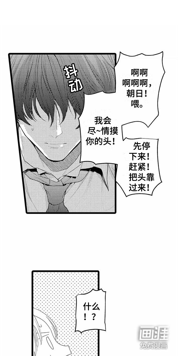 第18章：想要了解 