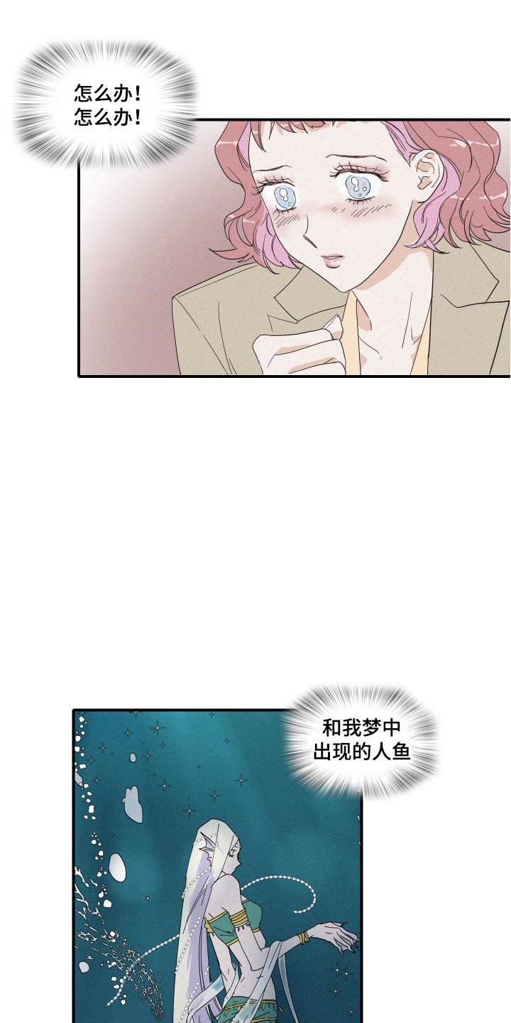 第2章：理想型