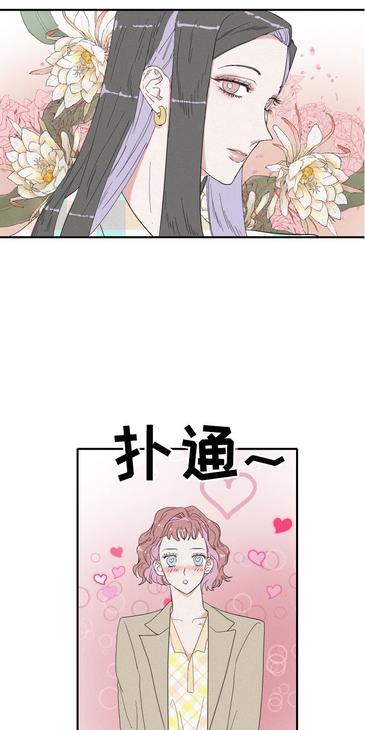 第2章：理想型