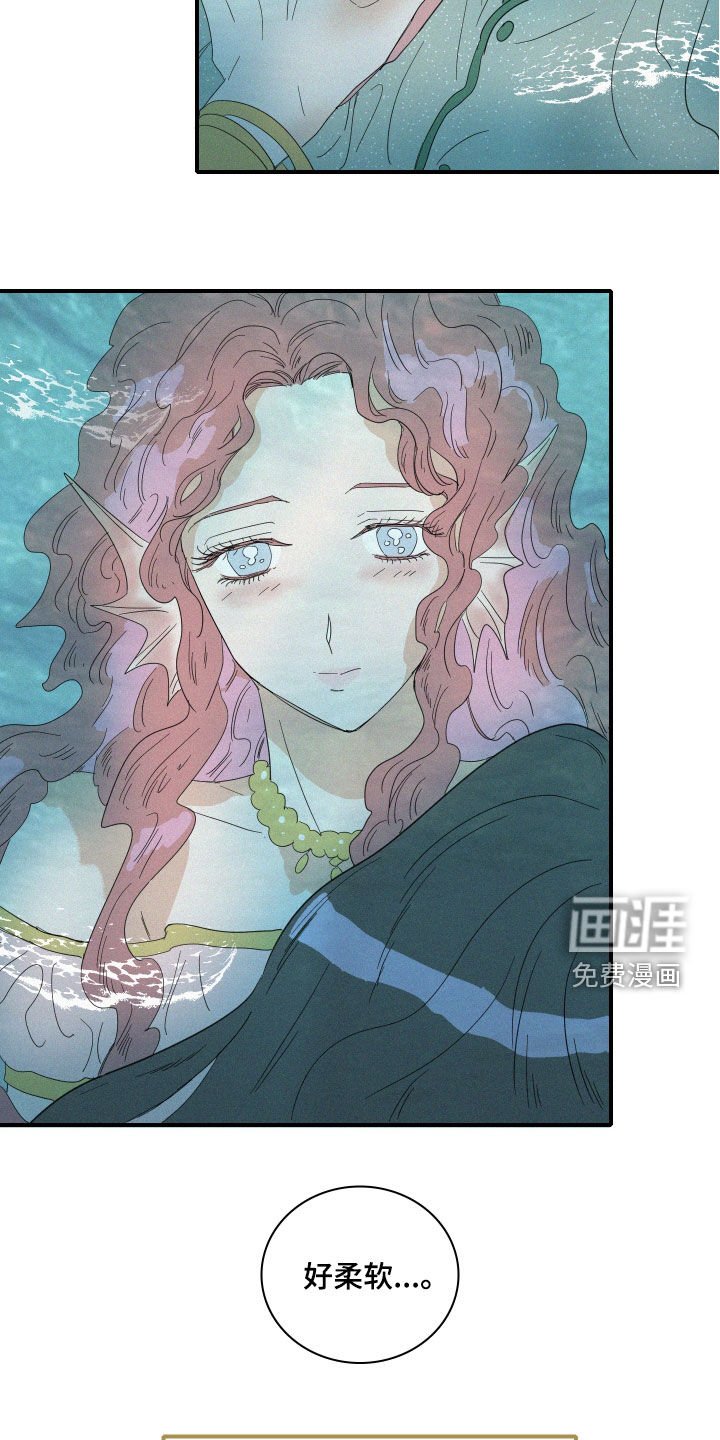 第21章：梦到的人鱼