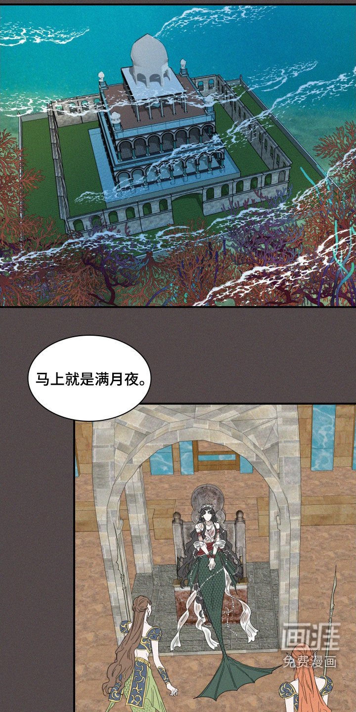 第35章：魔女