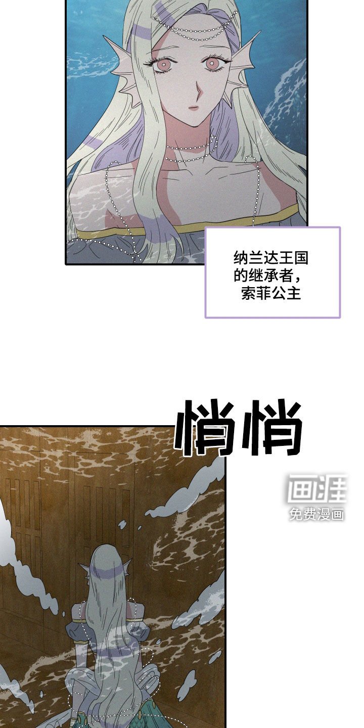 第36章：偷看