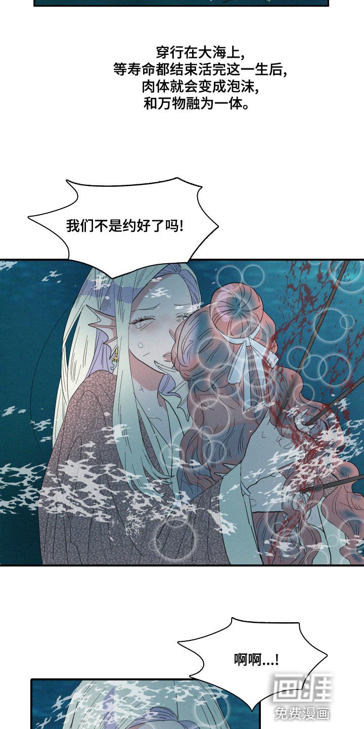 第47章：泡沫