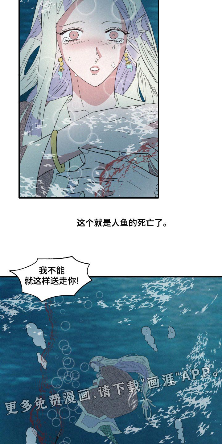 第47章：泡沫