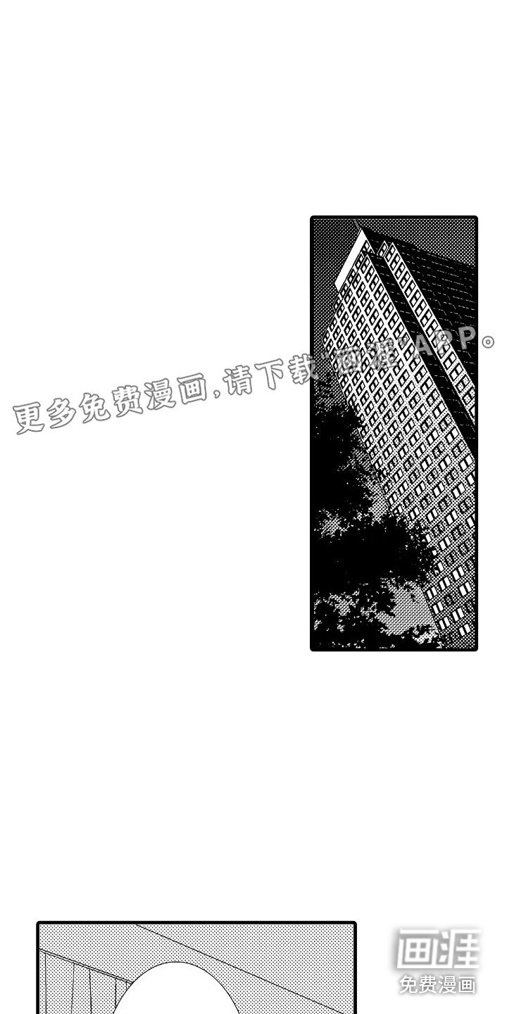 第15章：软肋