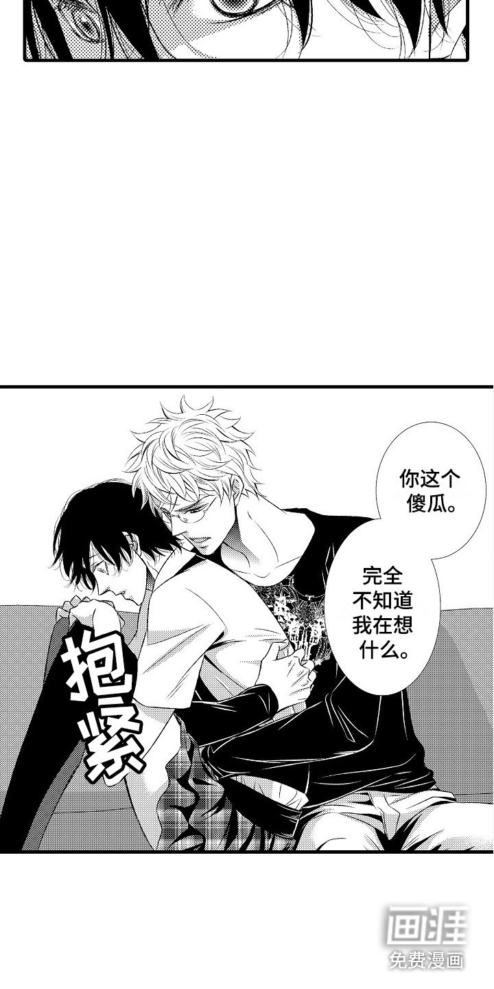 第15章：软肋