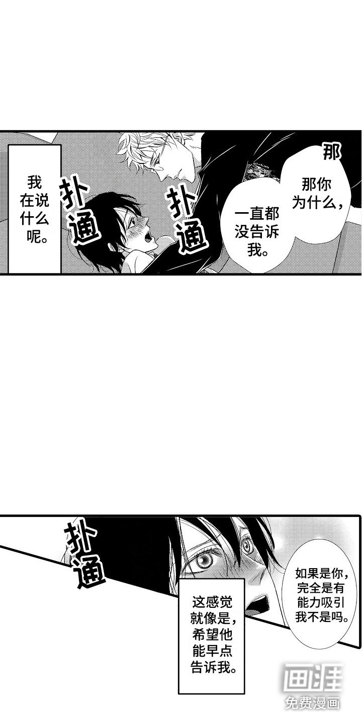 第15章：软肋