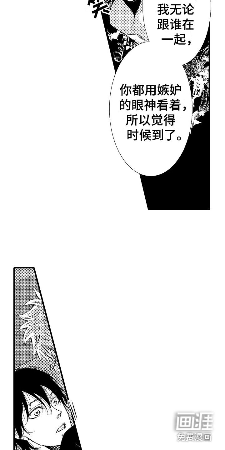 第15章：软肋