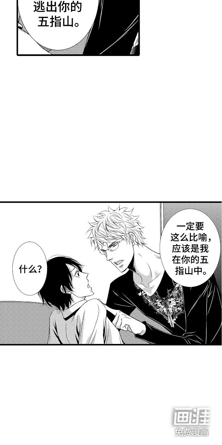 第15章：软肋