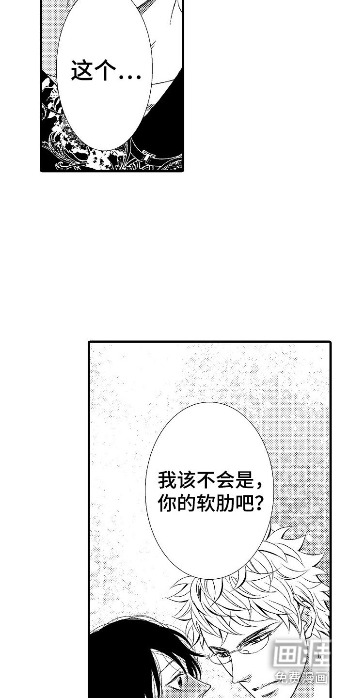 第15章：软肋