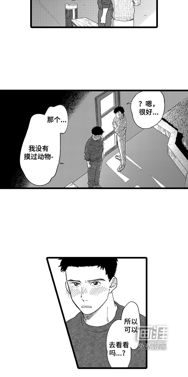 第16章：提议