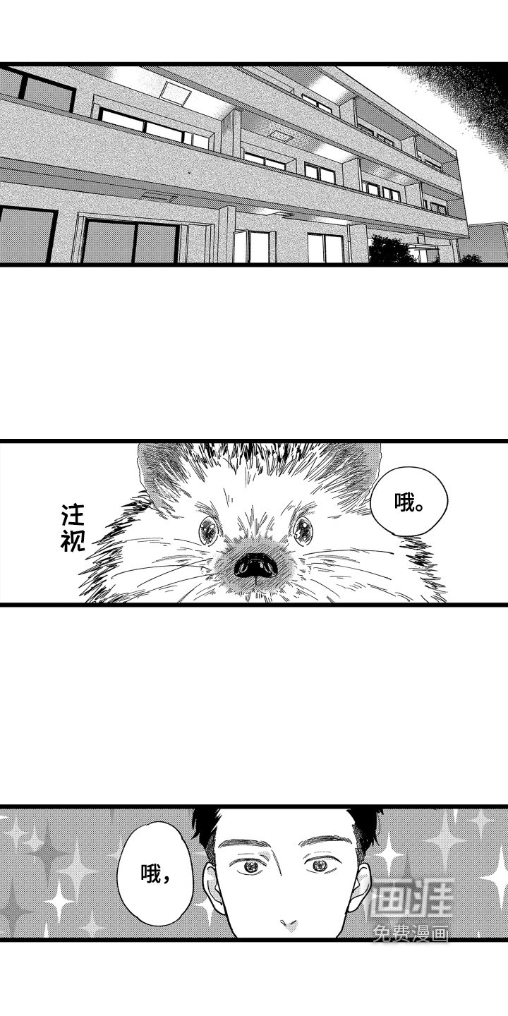 第16章：提议