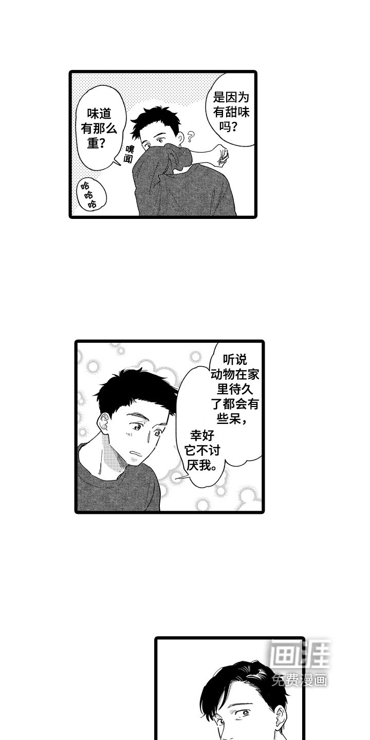 第16章：提议