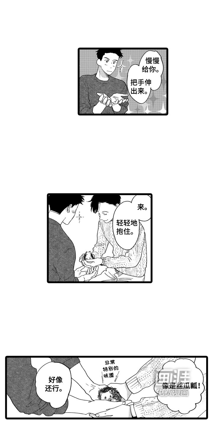 第16章：提议