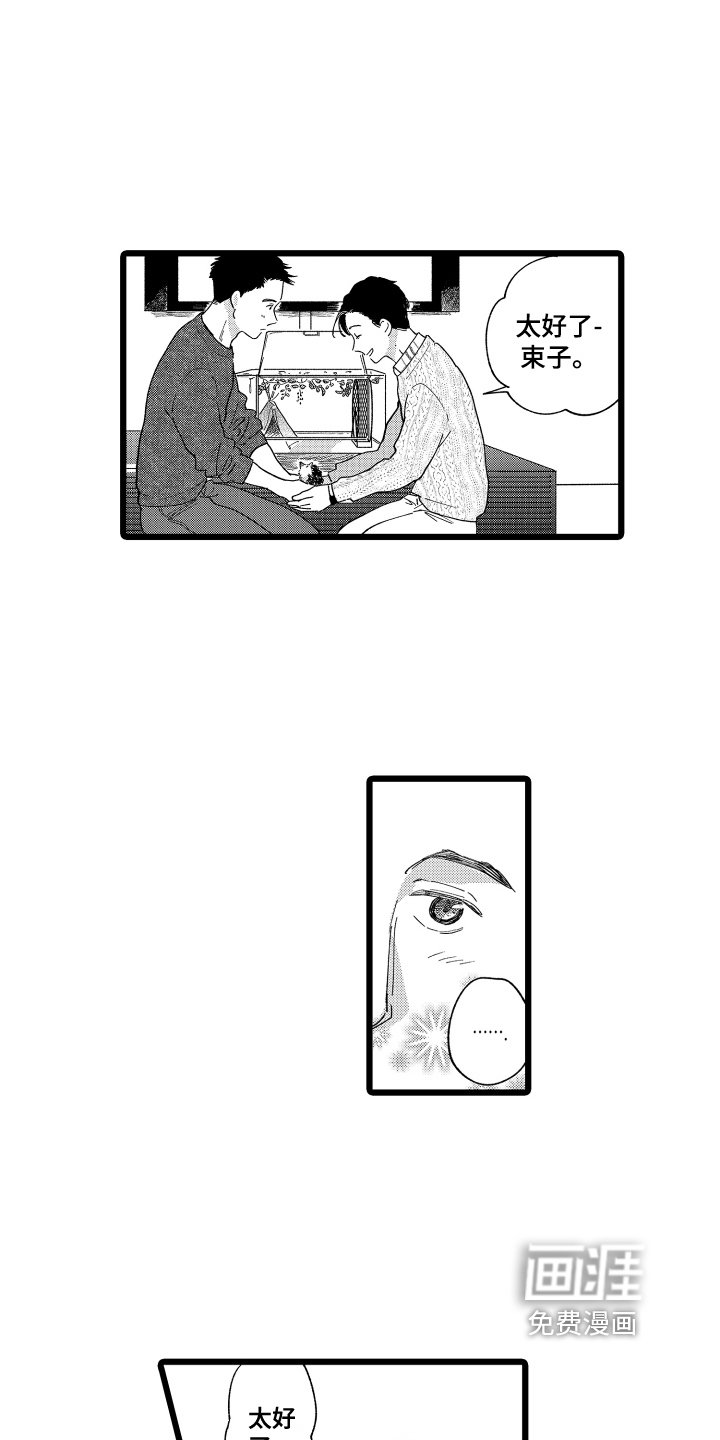 第16章：提议