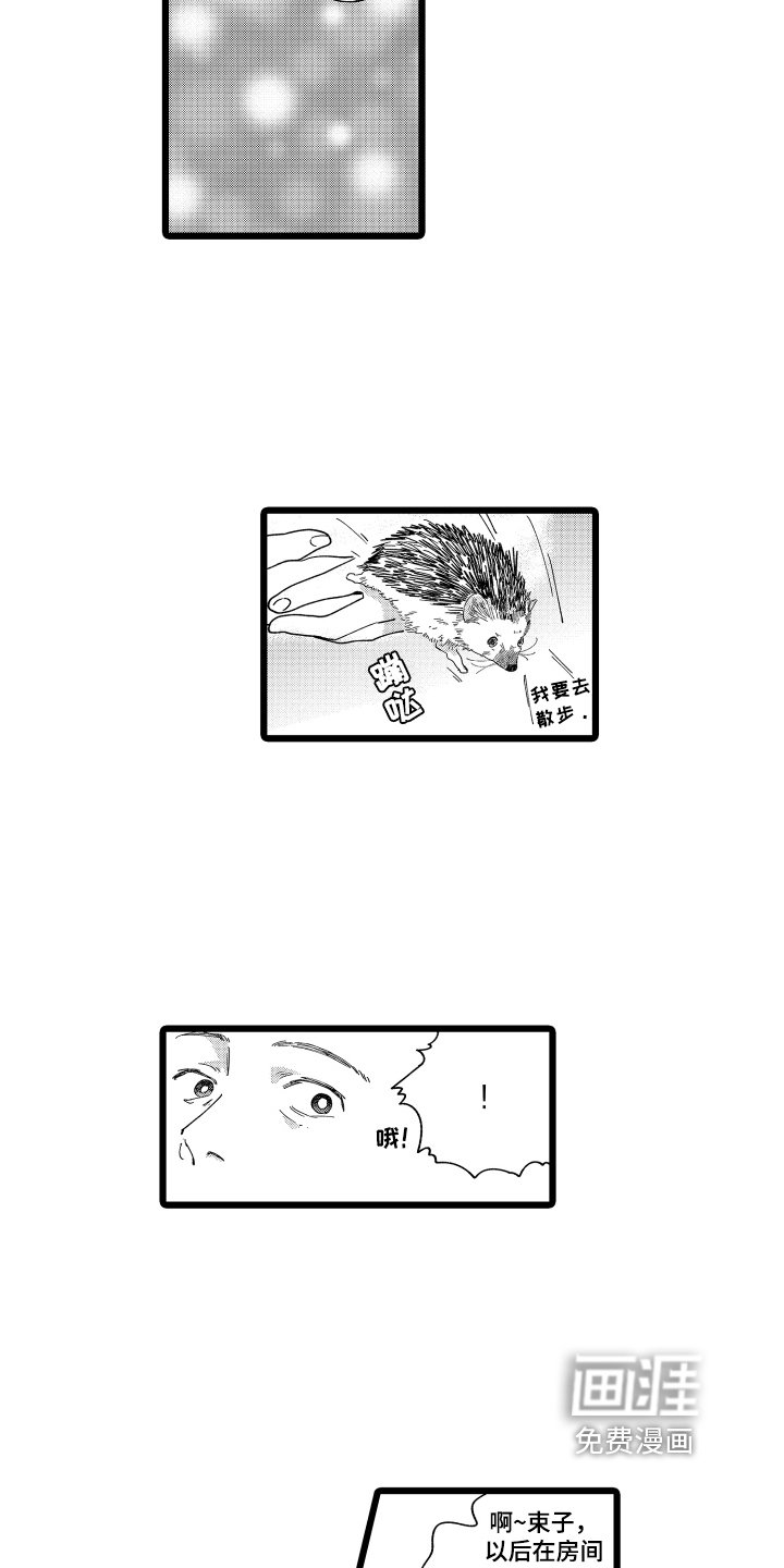 第17章：在意