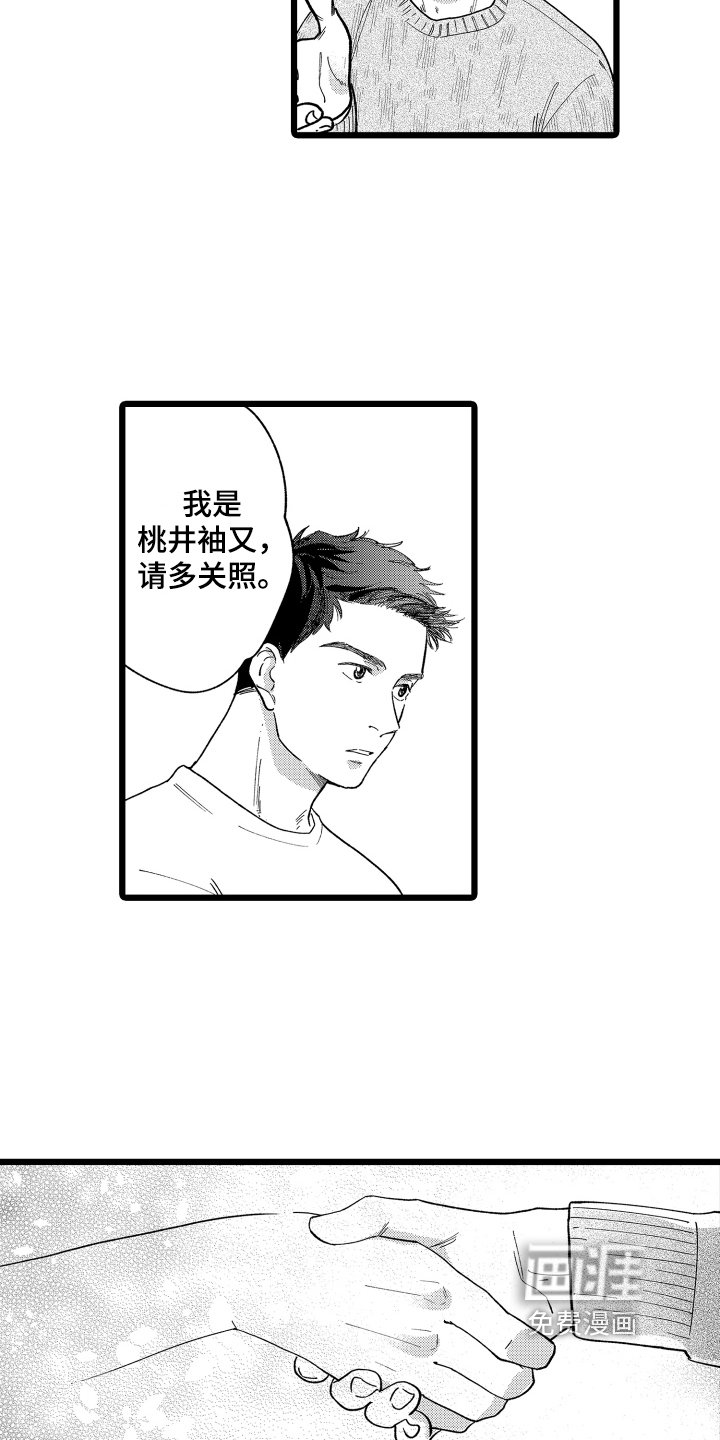 第5章：合作