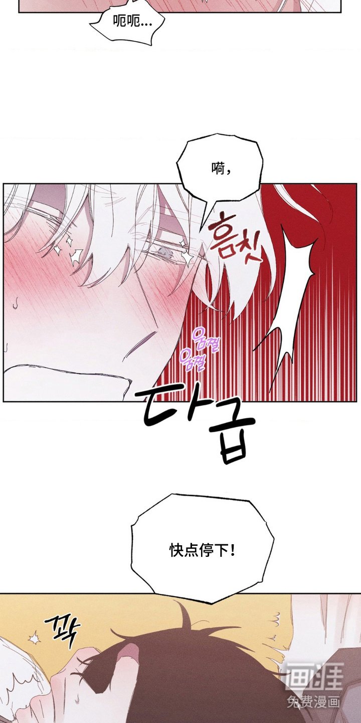 第16章：迷茫