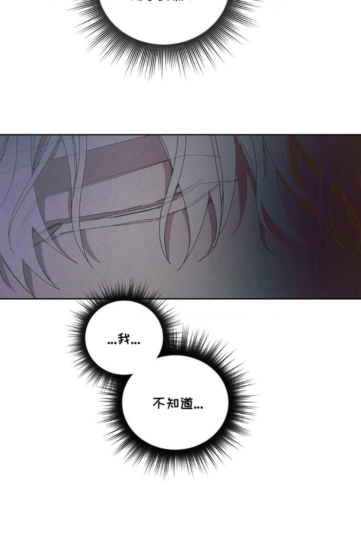 第16章：迷茫