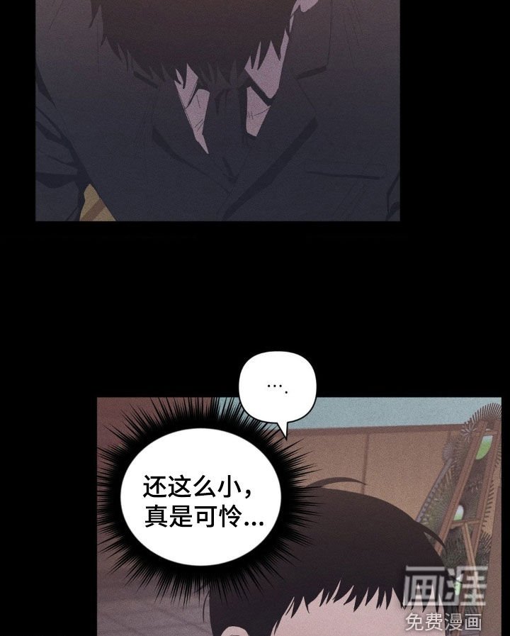 第19章：孤苦伶仃