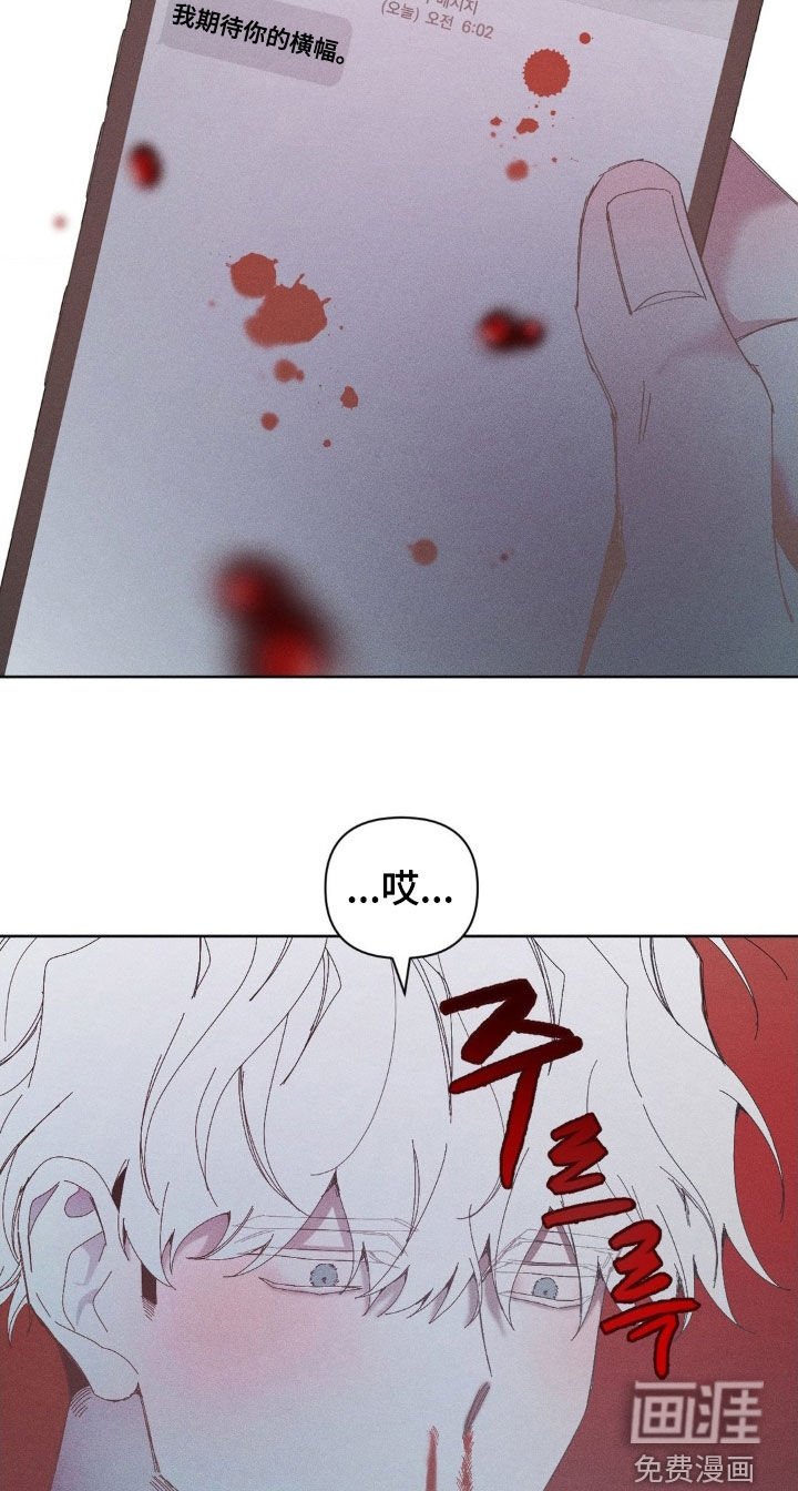 第28章：去看比赛