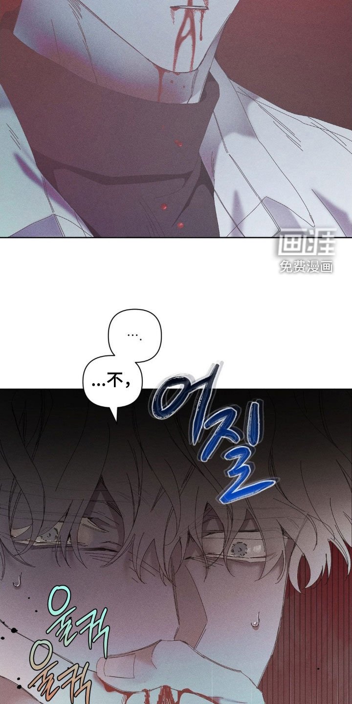 第28章：去看比赛