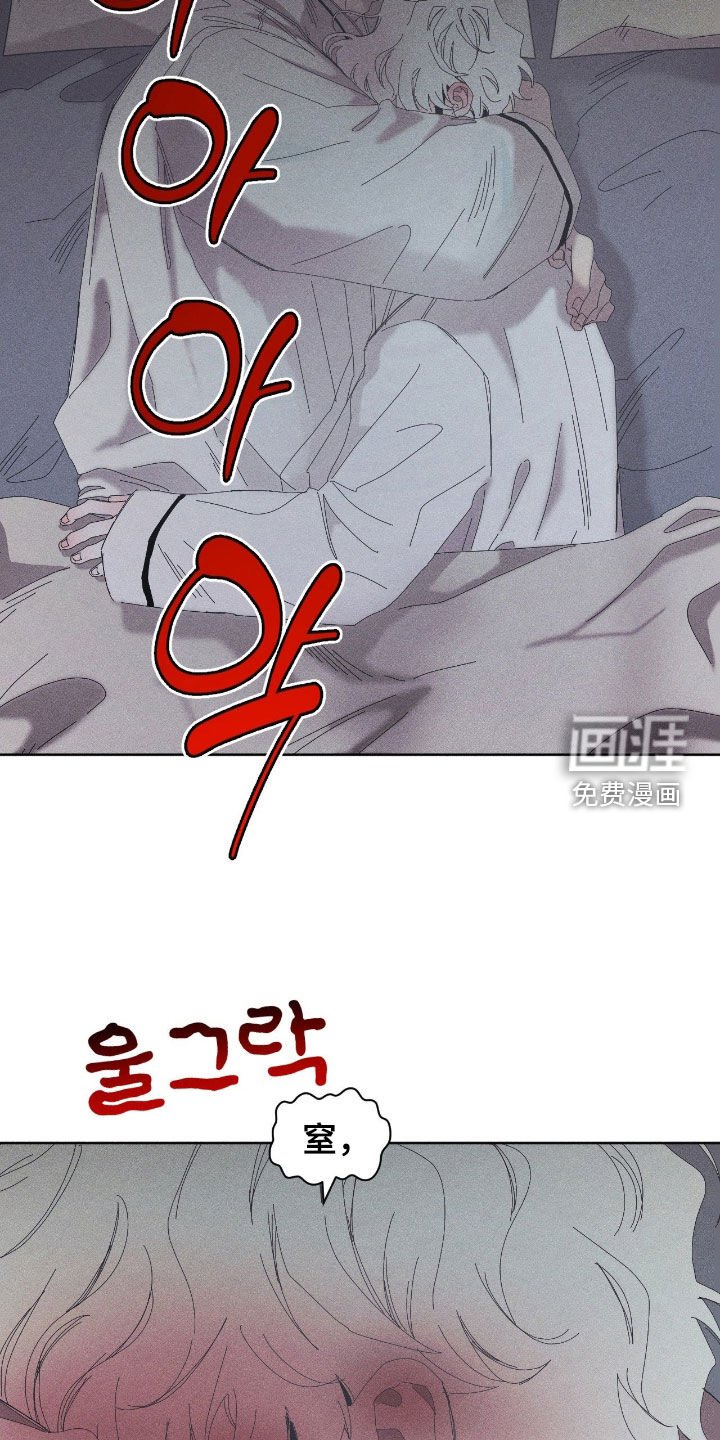 第42章：对不起