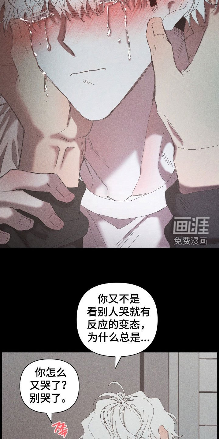 第42章：对不起