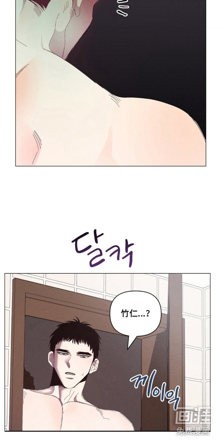 第6章：呕吐