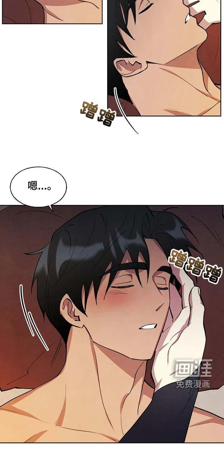 第20章：查看