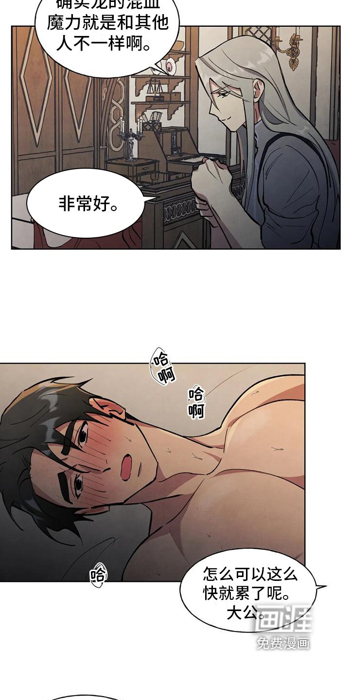 第4章：效果