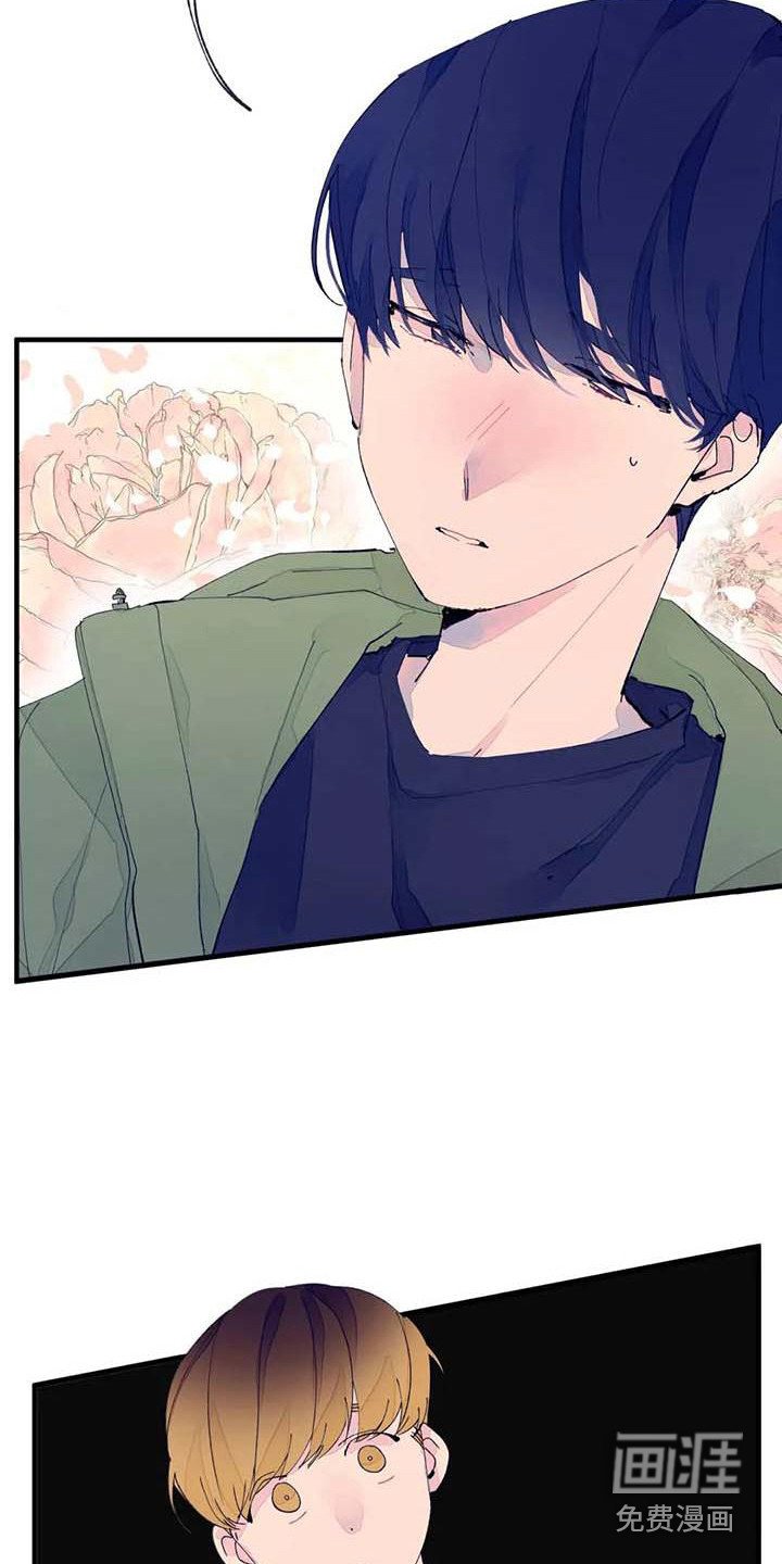 第10章：婉拒