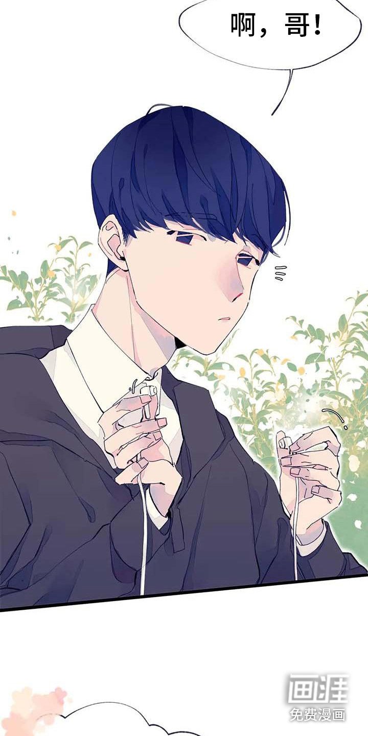 第11章：挑布料