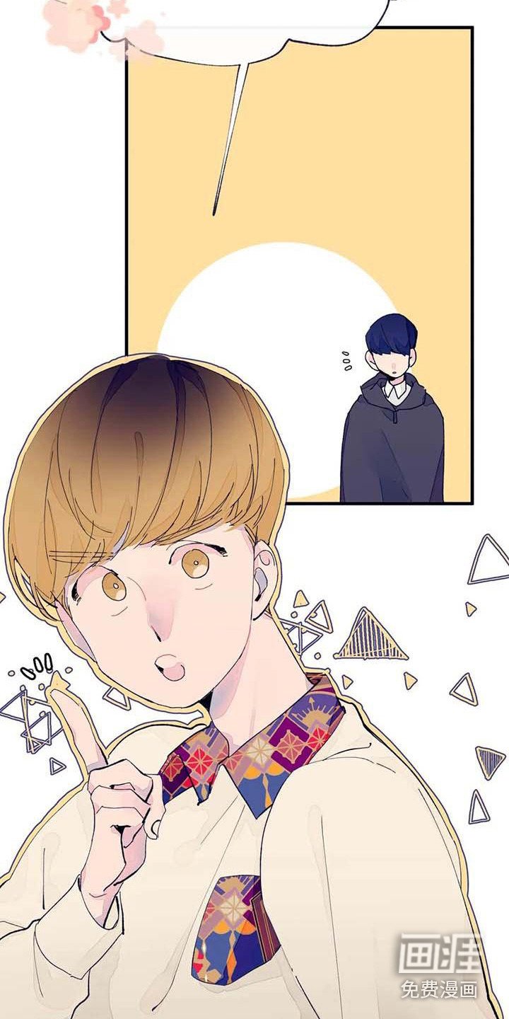 第11章：挑布料