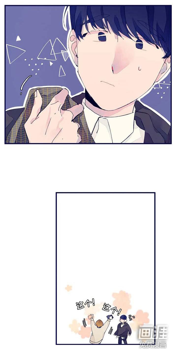 第11章：挑布料